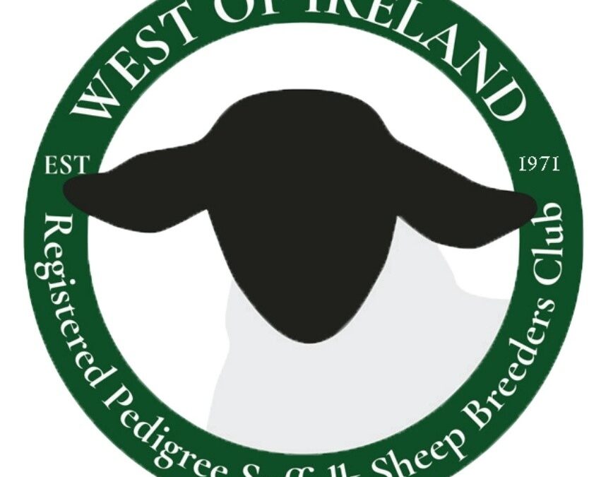 1971-2021 CELEBRATING 50 YEARS OF SUFFOLK BREEDING IN THE WEST OF IRELAND