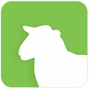 South of Ireland Branch Flockbook is now ‘LIVE’ on the Sheep Ireland Database