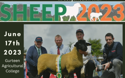2023 NATIONAL SUFFOLK CHAMPIONSHIPS TO TAKE PLACE ON JUNE 17TH