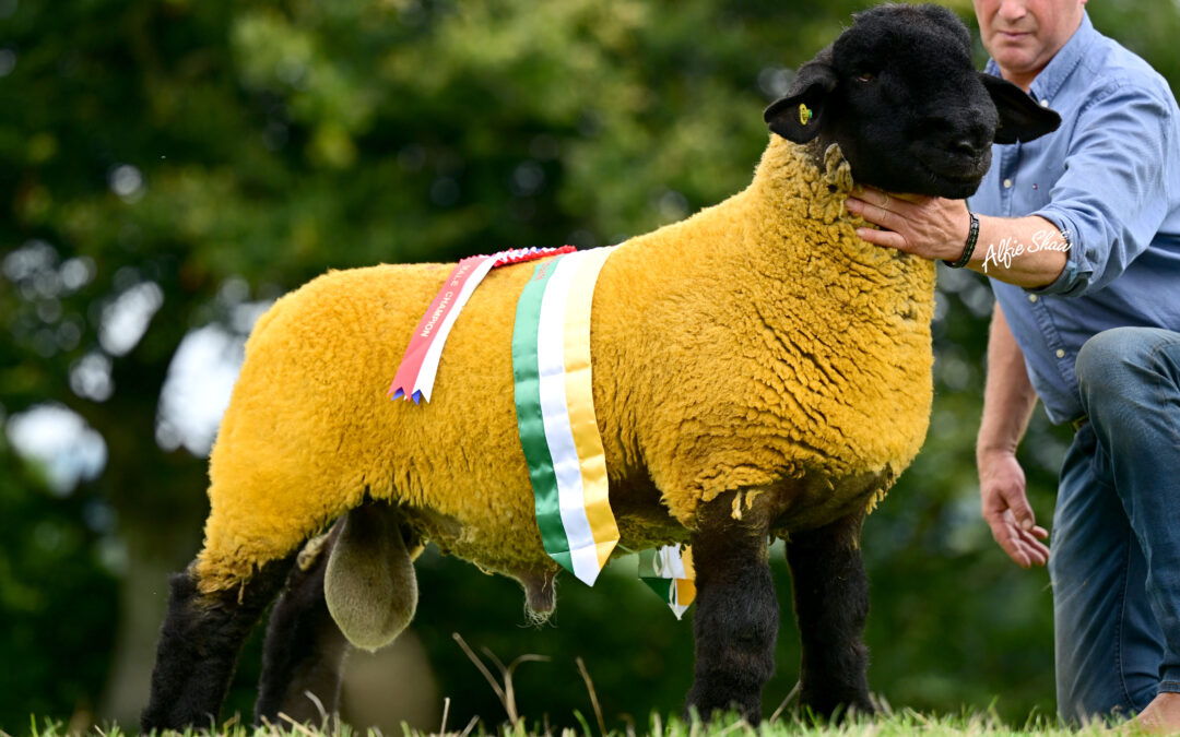 PREMIER SALE REPORT 2025
